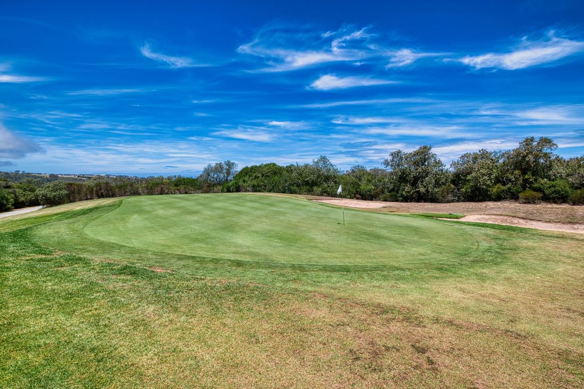 A well-maintained golf course green featuring manicured grass, a flagstick, and surrounding natural landscaping under a clear blue sky.