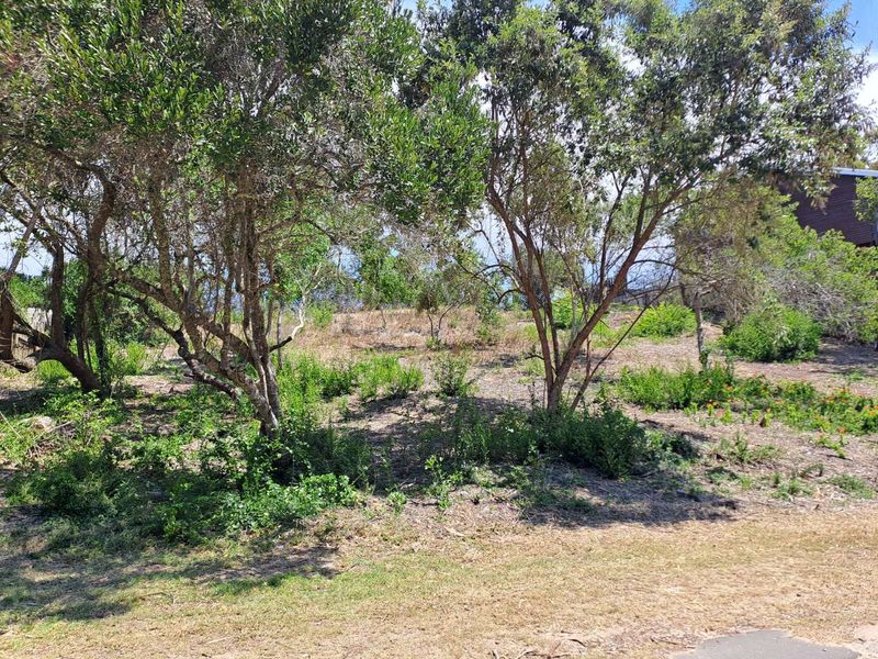 Vacant Land Residential For Sale in Sedgehill - Photo 5