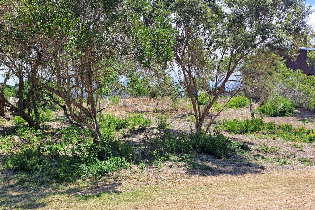 Vacant Land Residential For Sale in Sedgehill - Photo 5
