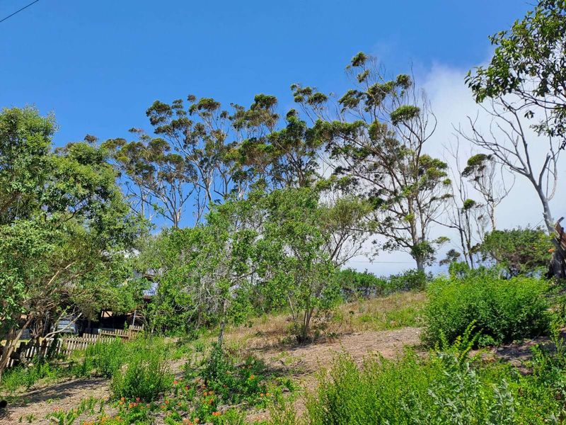 Vacant Land Residential For Sale in Sedgehill - Photo 4