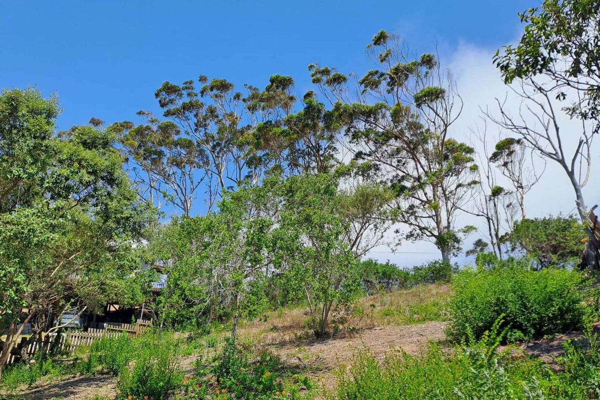 Vacant Land Residential For Sale in Sedgehill - Photo 4