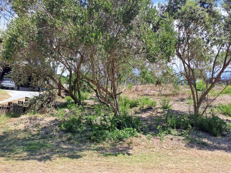 Vacant Land Residential For Sale in Sedgehill - Photo 3