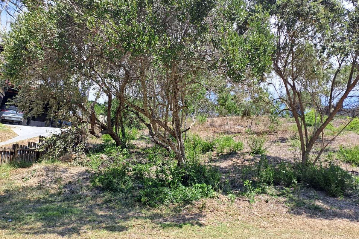 Vacant Land Residential For Sale in Sedgehill - Photo 3