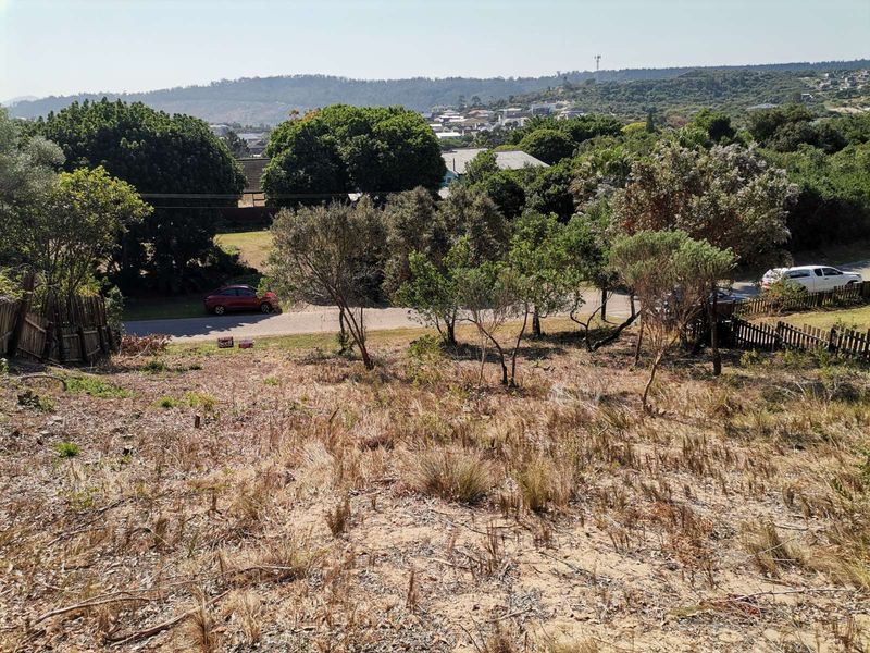 Vacant Land Residential For Sale in Sedgehill - Photo 8