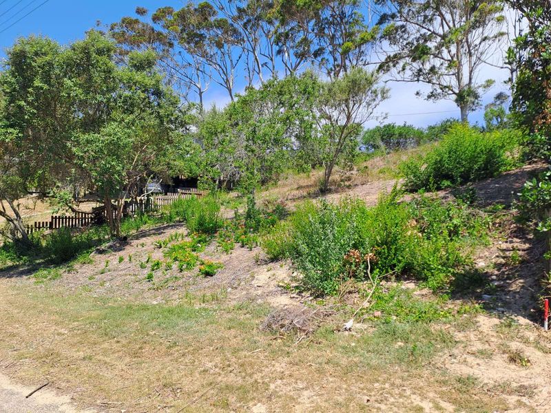 Vacant Land Residential For Sale in Sedgehill - Photo 7