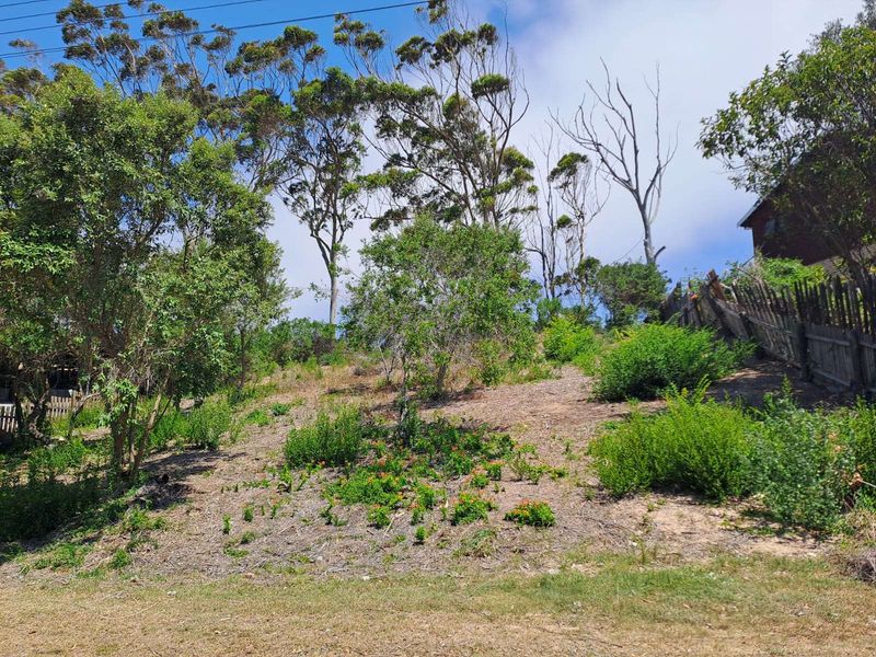 Vacant Land Residential For Sale in Sedgehill - Photo 6