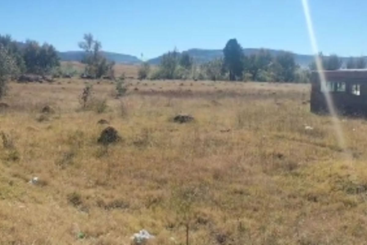 Vacant Land Residential For Sale in Ladybrand Central - Photo 4