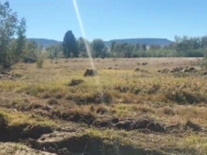 Vacant Land Residential For Sale in Ladybrand Central - Photo 5