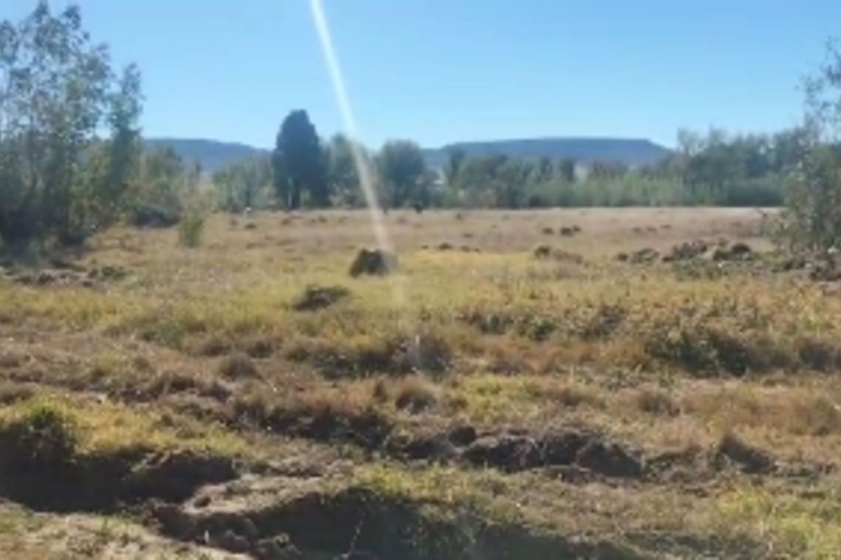 Vacant Land Residential For Sale in Ladybrand Central - Photo 5