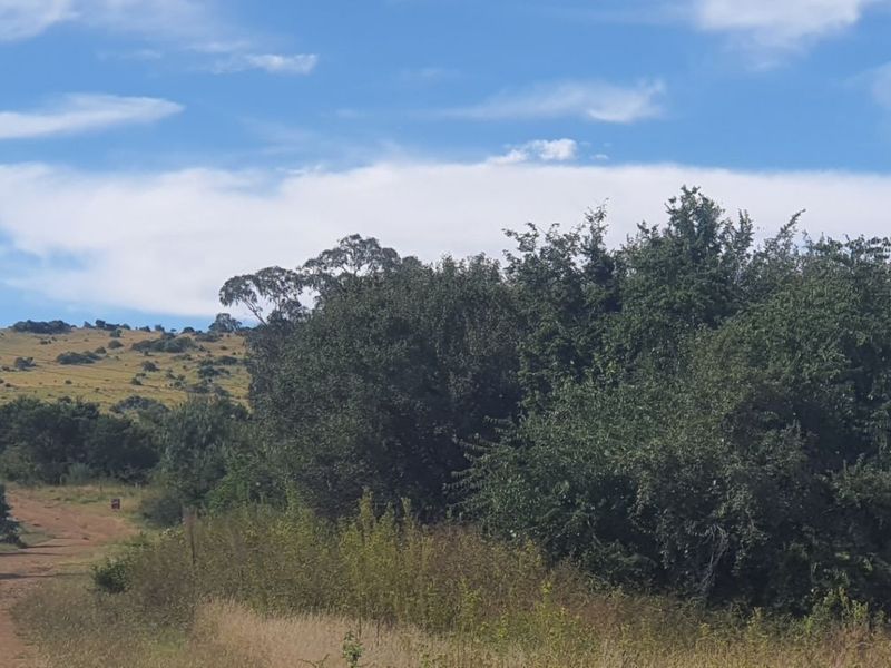 Vacant Land Residential For Sale in Vaal Marina Central - Photo 4