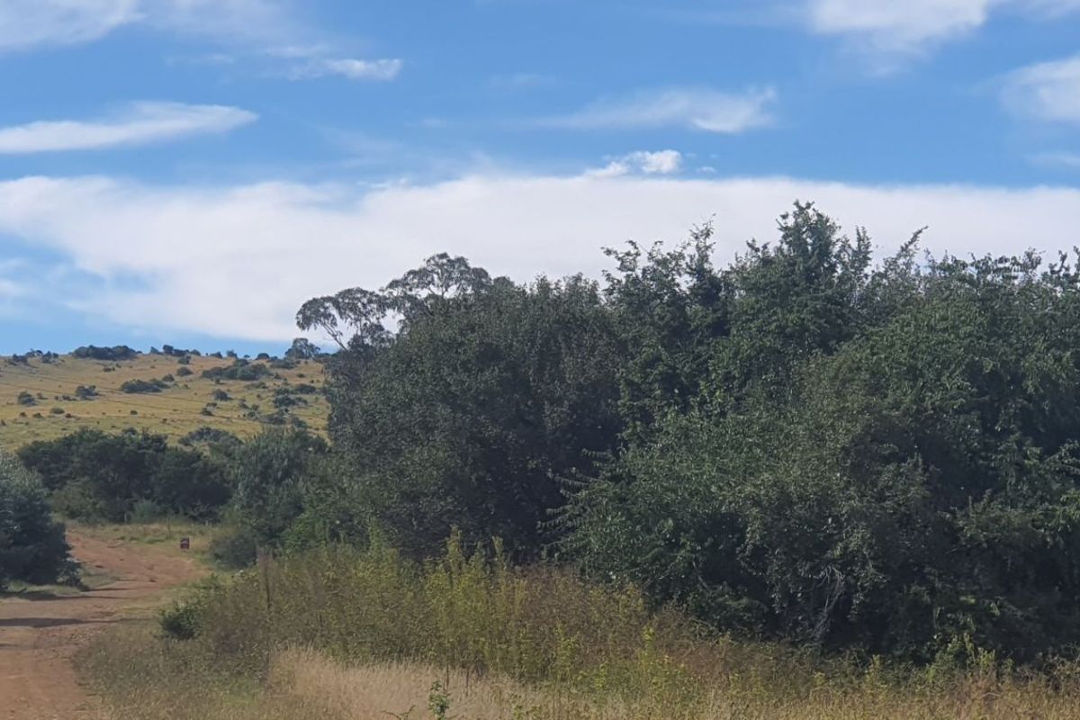 Vacant Land Residential For Sale in Vaal Marina Central - Photo 4