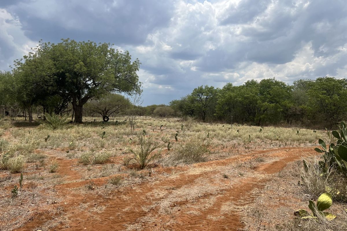 Farm For Sale in Alldays Central - Photo 2