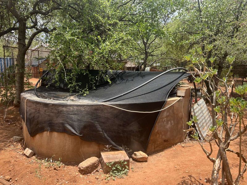 Farm For Sale in Alldays Central - Photo 9