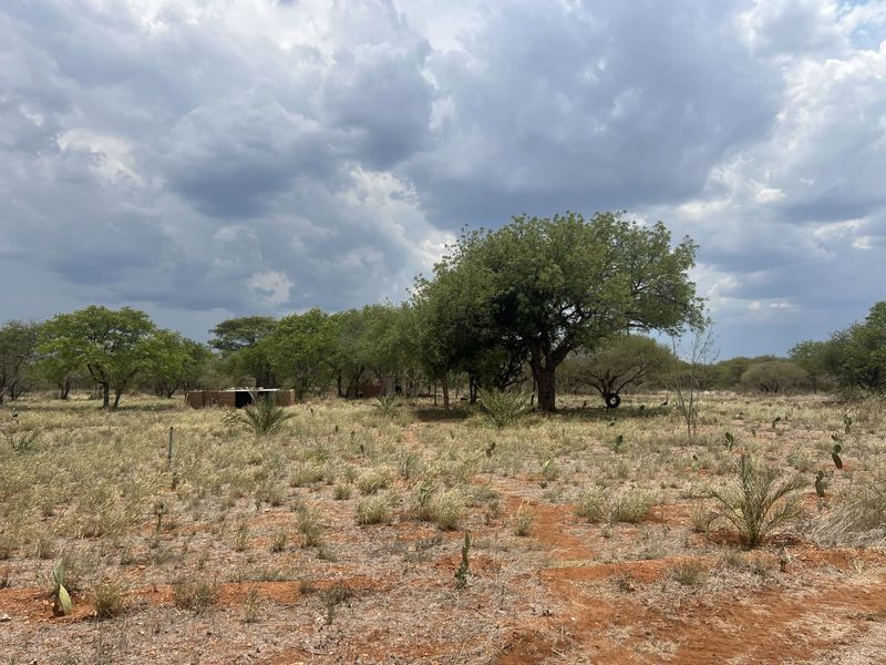 Farm For Sale in Alldays Central - Photo 4