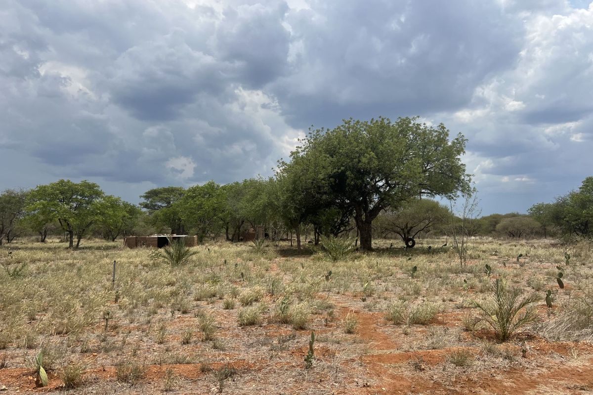 Farm For Sale in Alldays Central - Photo 4