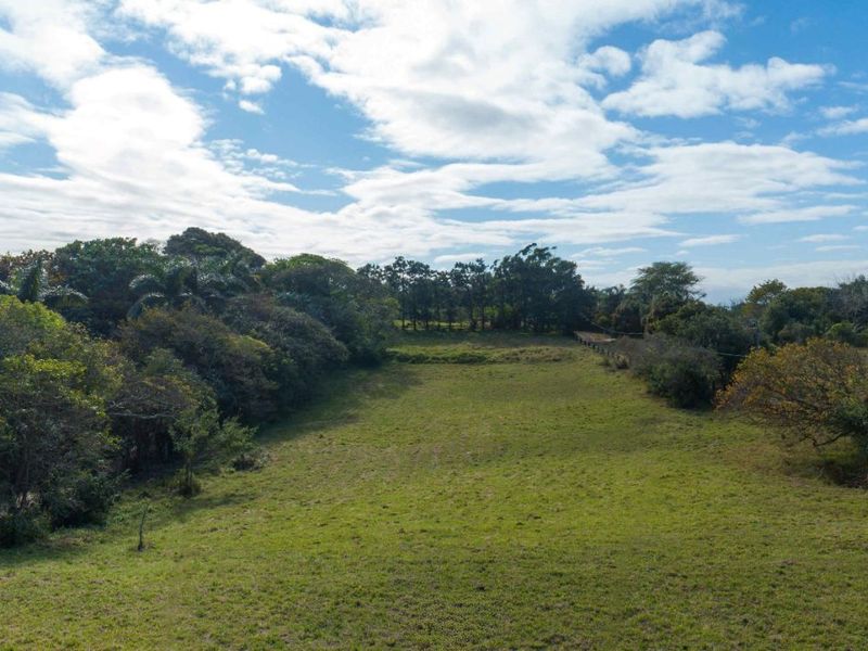 Vacant Land Residential For Sale in New Salt Rock City - Photo 6