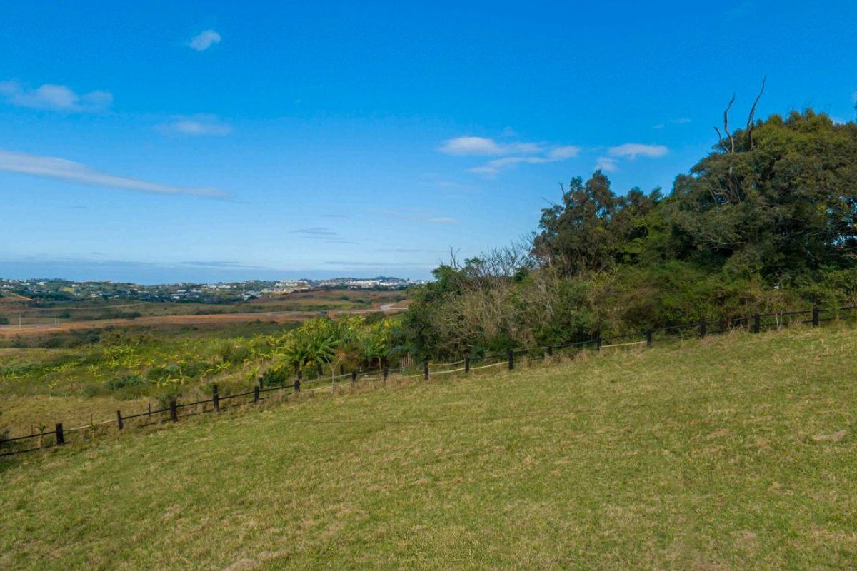 Vacant Land Residential For Sale in New Salt Rock City - Photo 3