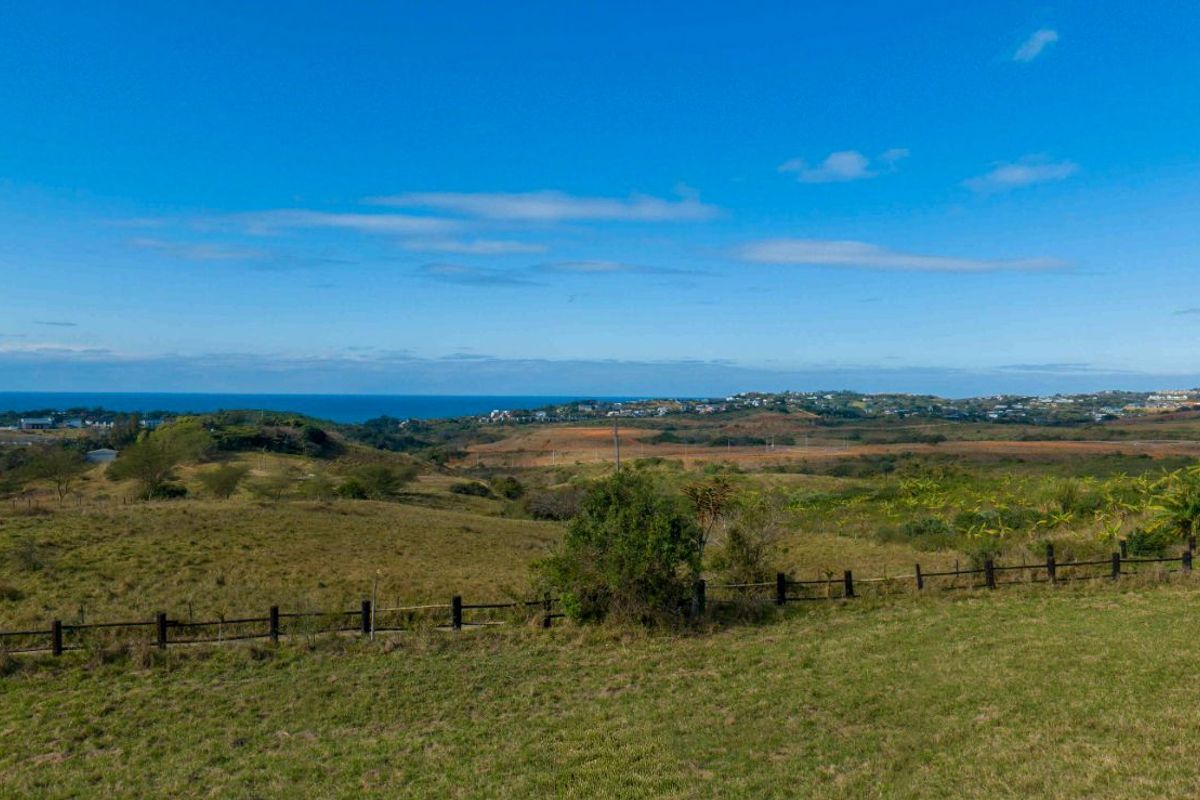 Vacant Land Residential For Sale in New Salt Rock City - Photo 2