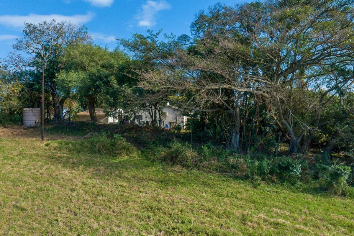 Vacant Land Residential For Sale in New Salt Rock City - Photo 4