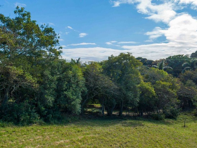 Vacant Land Residential For Sale in New Salt Rock City - Photo 5