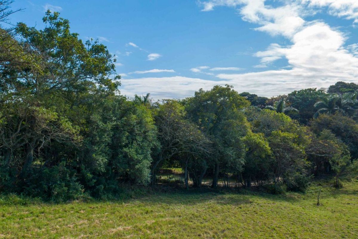 Vacant Land Residential For Sale in New Salt Rock City - Photo 5