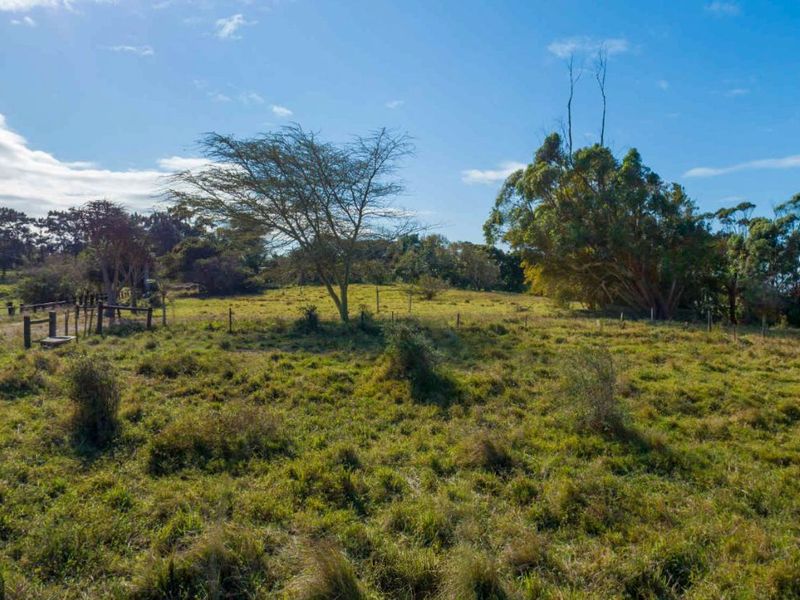 Vacant Land Residential For Sale in New Salt Rock City - Photo 5