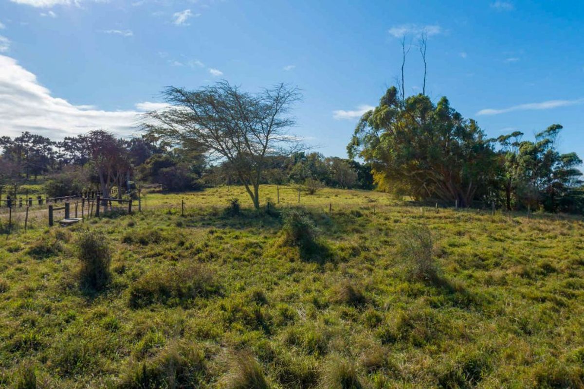 Vacant Land Residential For Sale in New Salt Rock City - Photo 5