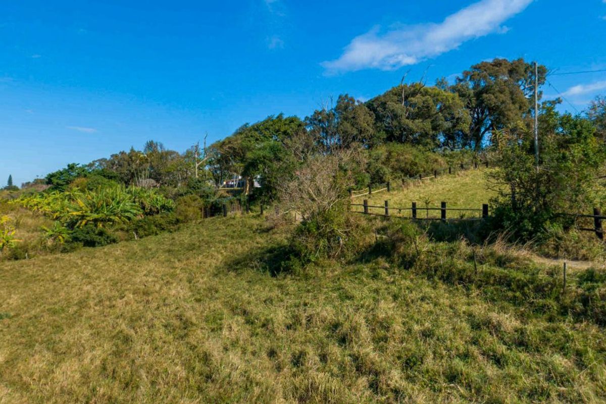 Vacant Land Residential For Sale in New Salt Rock City - Photo 3