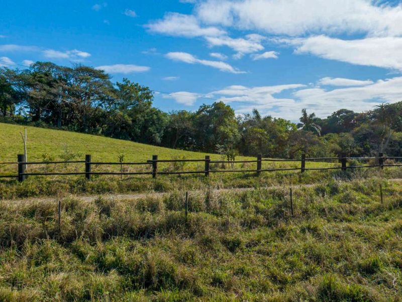 Vacant Land Residential For Sale in New Salt Rock City - Photo 4