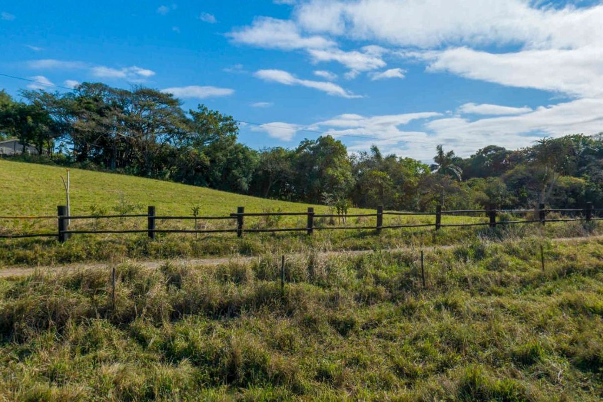 Vacant Land Residential For Sale in New Salt Rock City - Photo 4