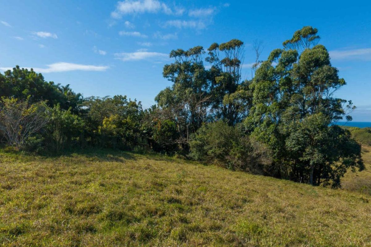 Vacant Land Residential For Sale in New Salt Rock City - Photo 5