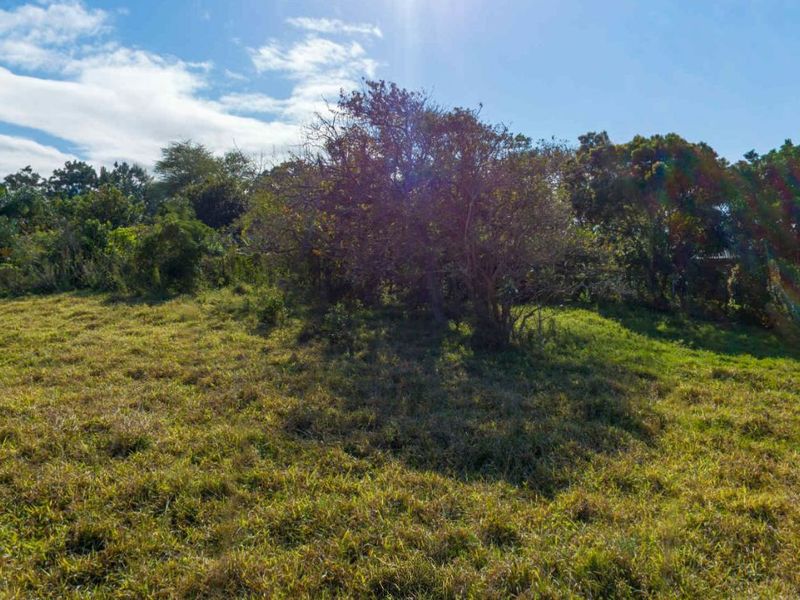 Vacant Land Residential For Sale in New Salt Rock City - Photo 4