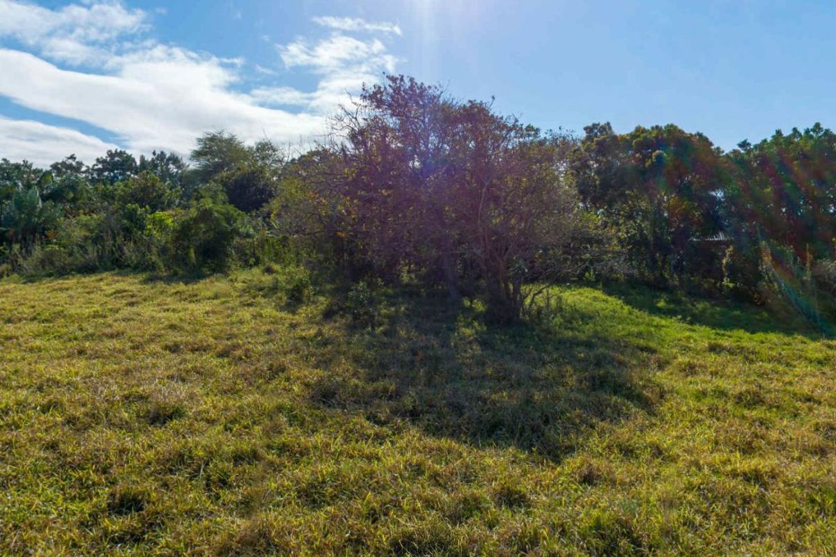 Vacant Land Residential For Sale in New Salt Rock City - Photo 4