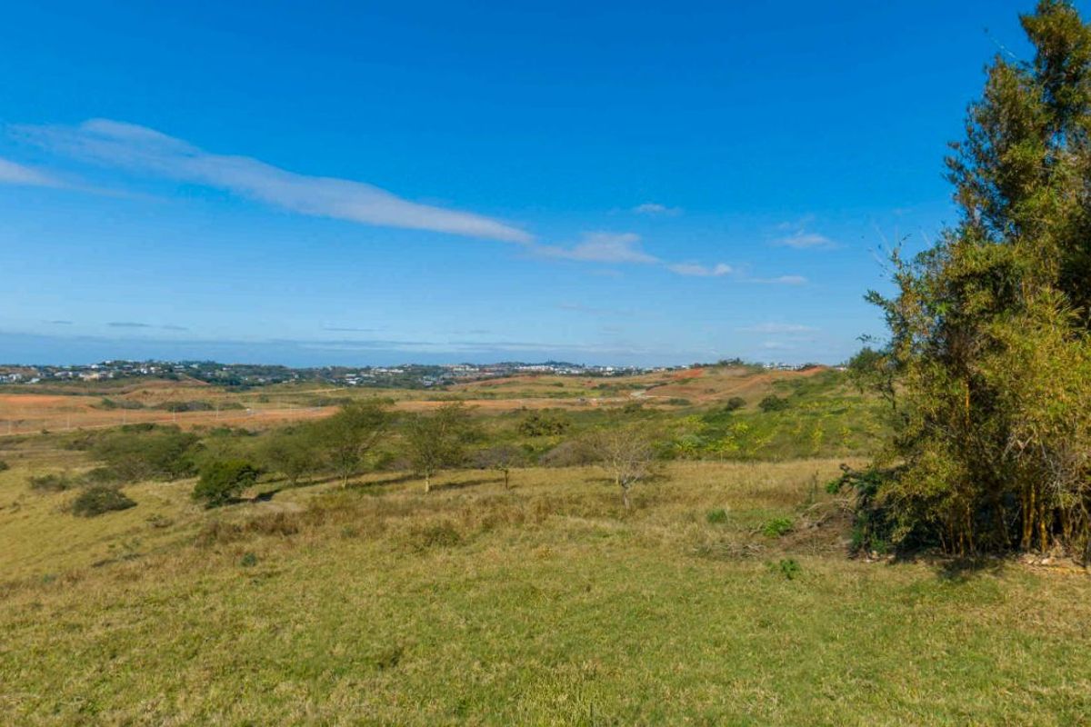 Vacant Land Residential For Sale in New Salt Rock City - Photo 2