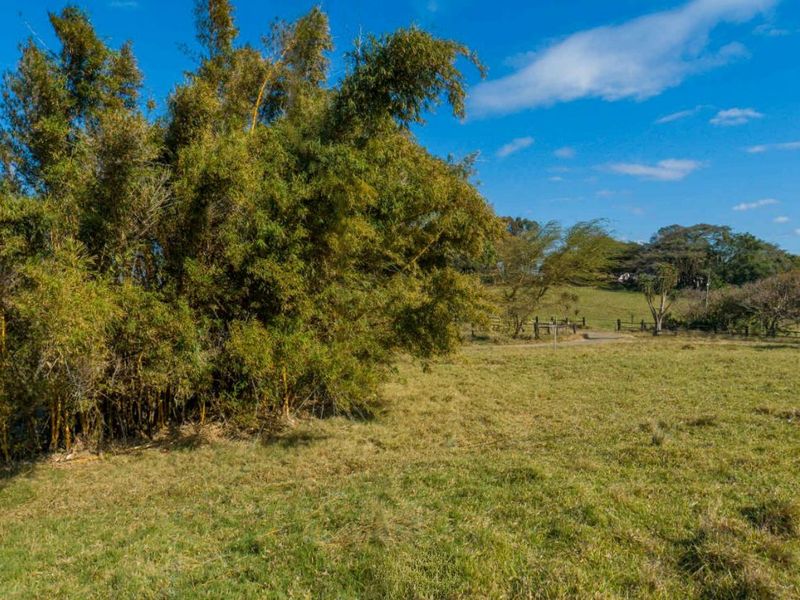 Vacant Land Residential For Sale in New Salt Rock City - Photo 3