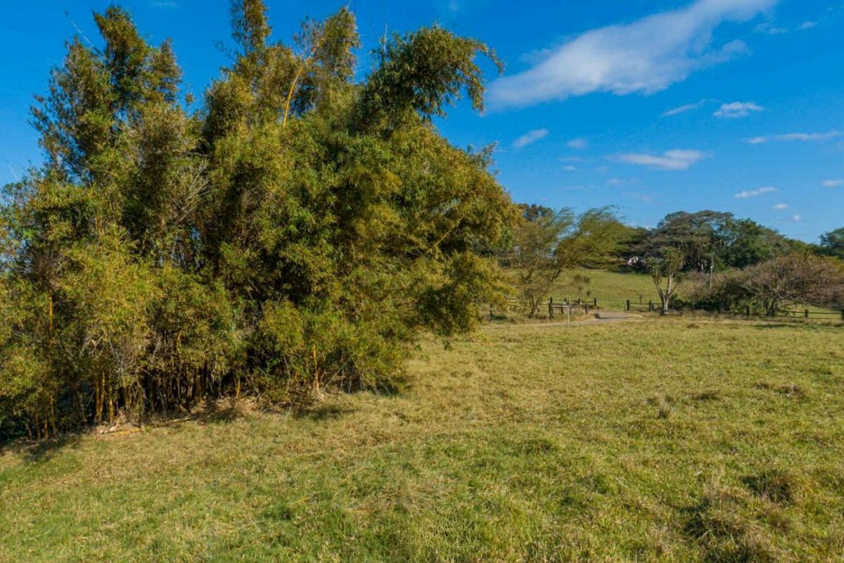 Vacant Land Residential For Sale in New Salt Rock City - Photo 3