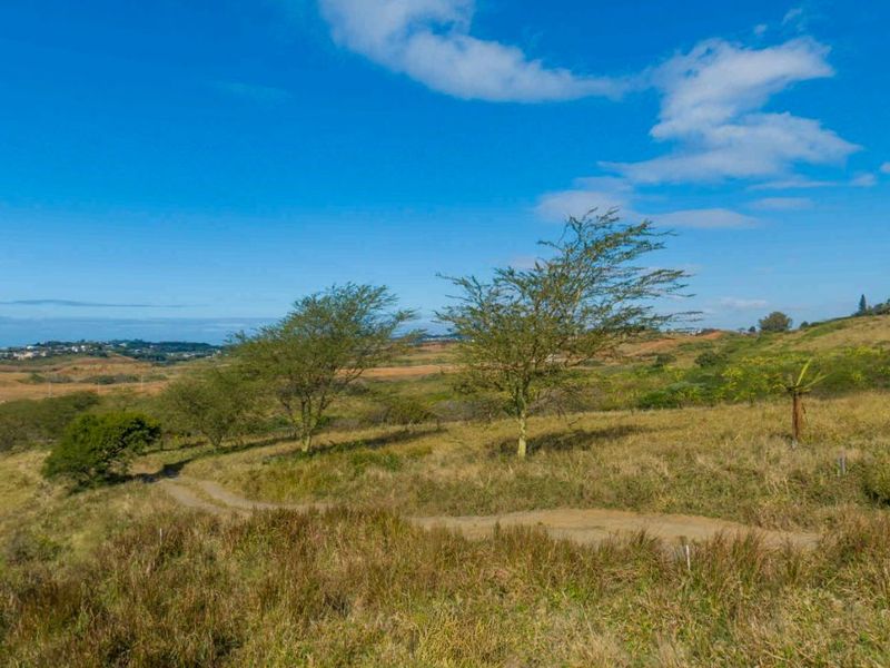 Vacant Land Residential For Sale in New Salt Rock City - Photo 2