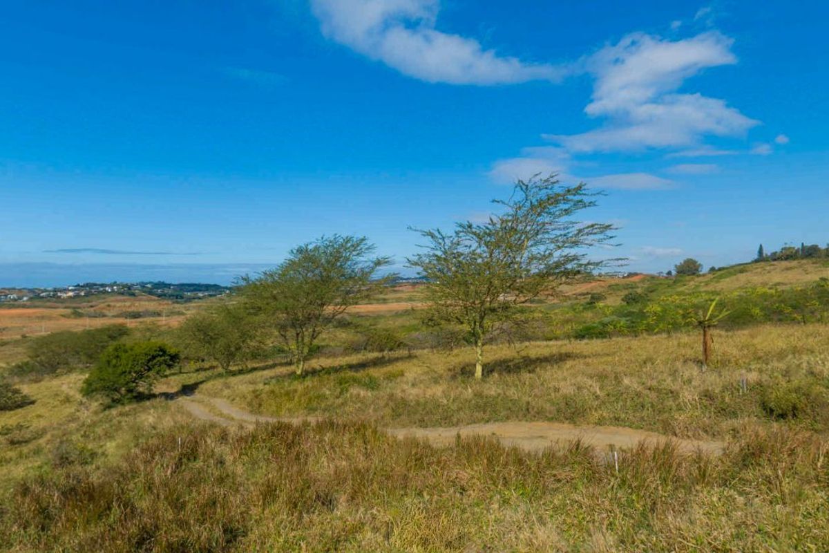 Vacant Land Residential For Sale in New Salt Rock City - Photo 2