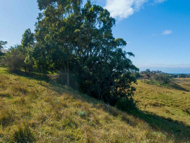 Vacant Land Residential For Sale in New Salt Rock City - Photo 5