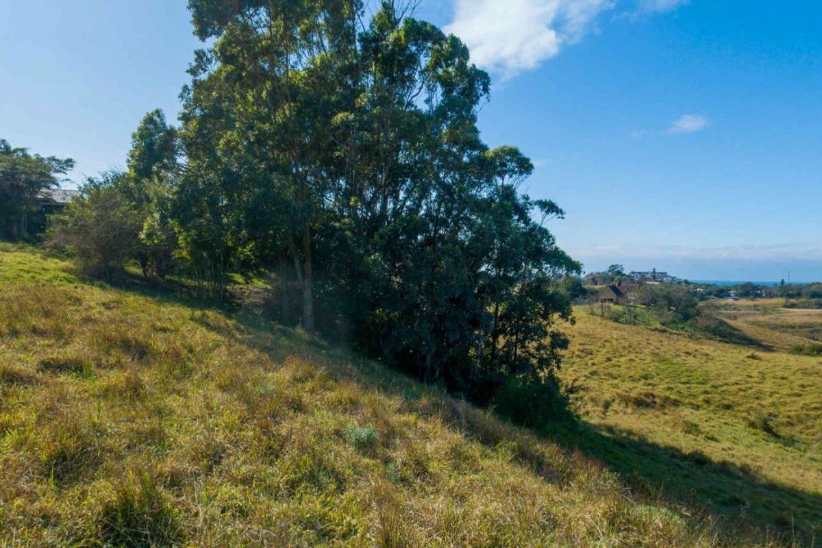 Vacant Land Residential For Sale in New Salt Rock City - Photo 5