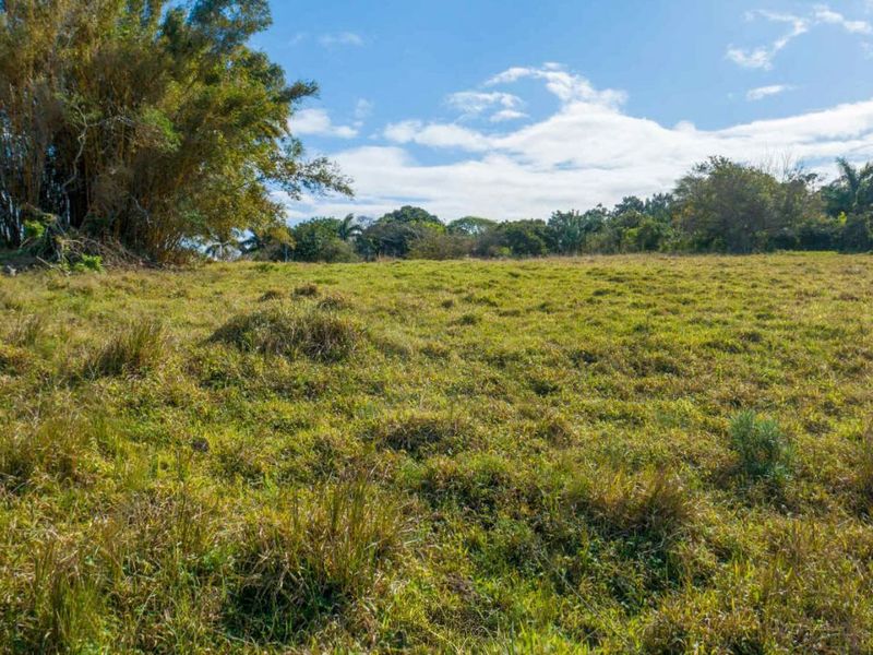 Vacant Land Residential For Sale in New Salt Rock City - Photo 4