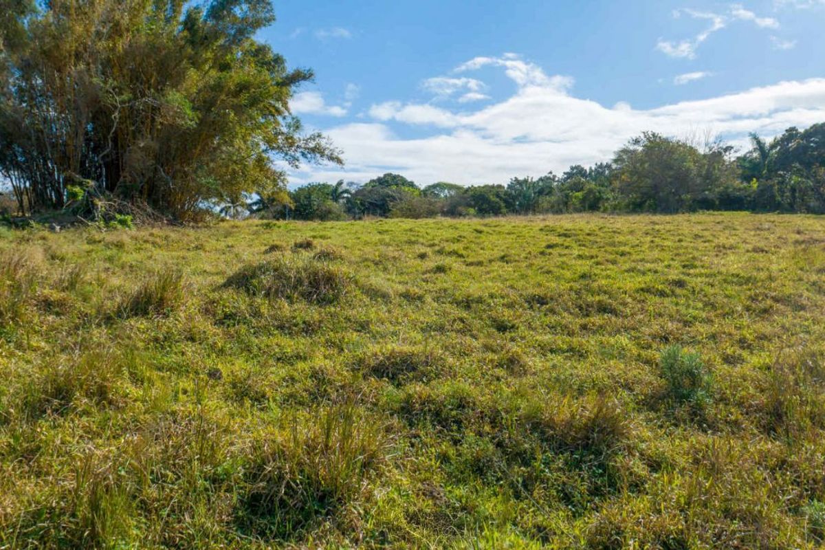 Vacant Land Residential For Sale in New Salt Rock City - Photo 4