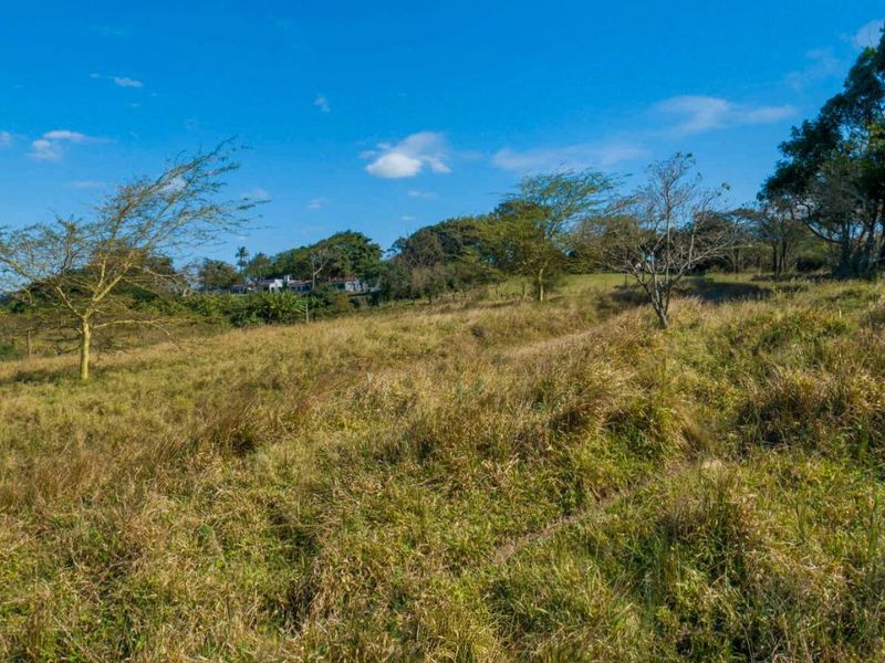 Vacant Land Residential For Sale in New Salt Rock City - Photo 3