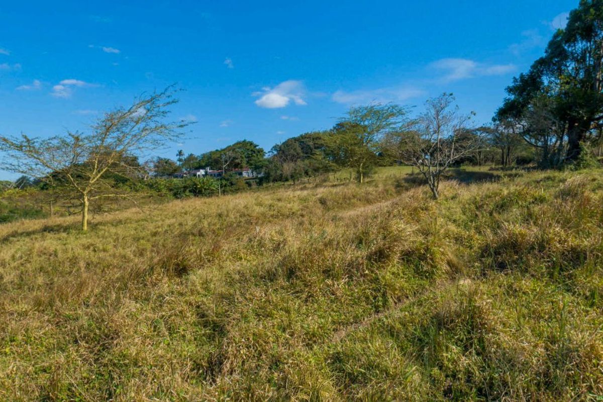 Vacant Land Residential For Sale in New Salt Rock City - Photo 3