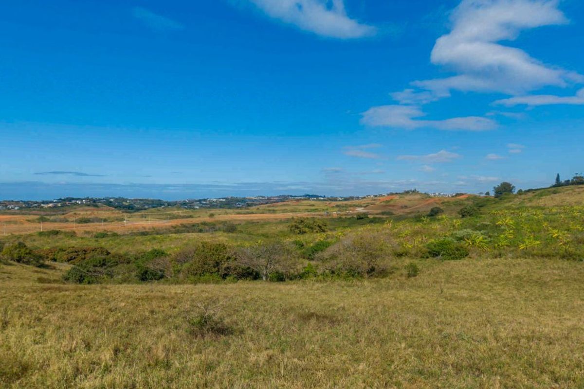 Vacant Land Residential For Sale in New Salt Rock City - Photo 2