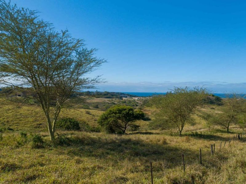 Vacant Land Residential For Sale in New Salt Rock City - Photo 6