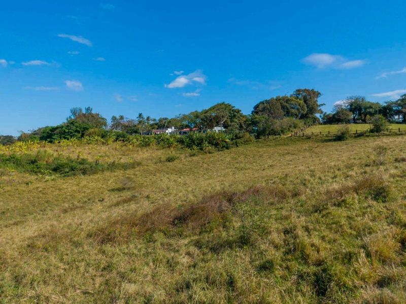 Vacant Land Residential For Sale in New Salt Rock City - Photo 3