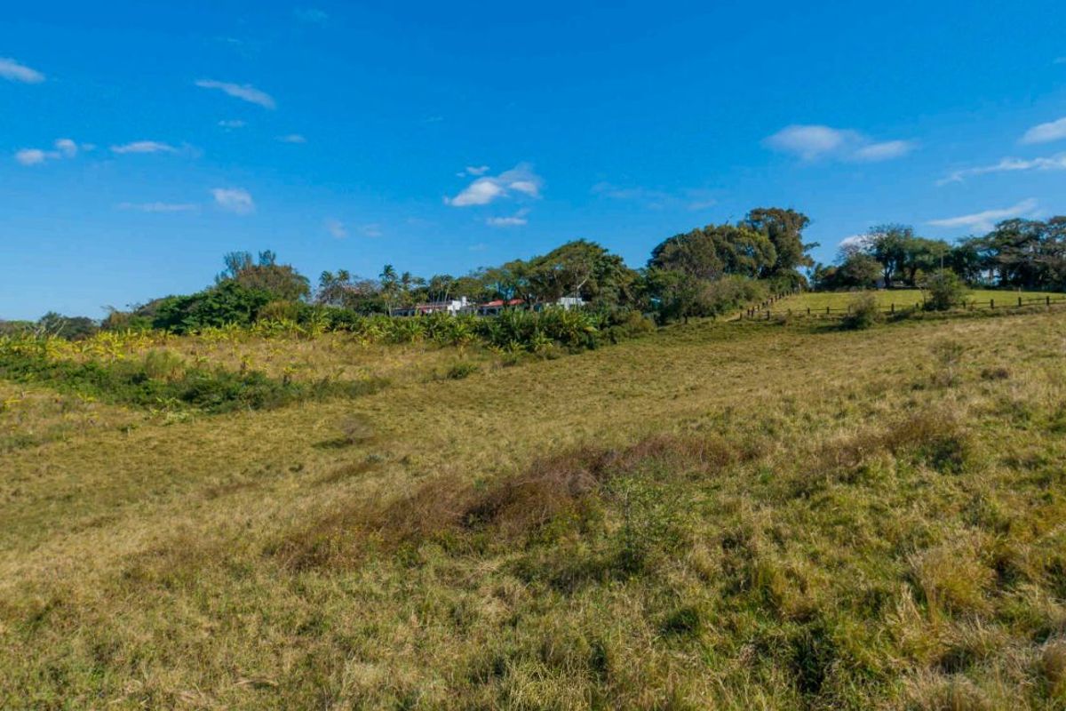 Vacant Land Residential For Sale in New Salt Rock City - Photo 3