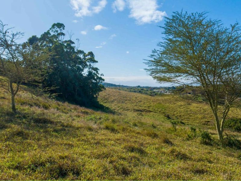 Vacant Land Residential For Sale in New Salt Rock City - Photo 5