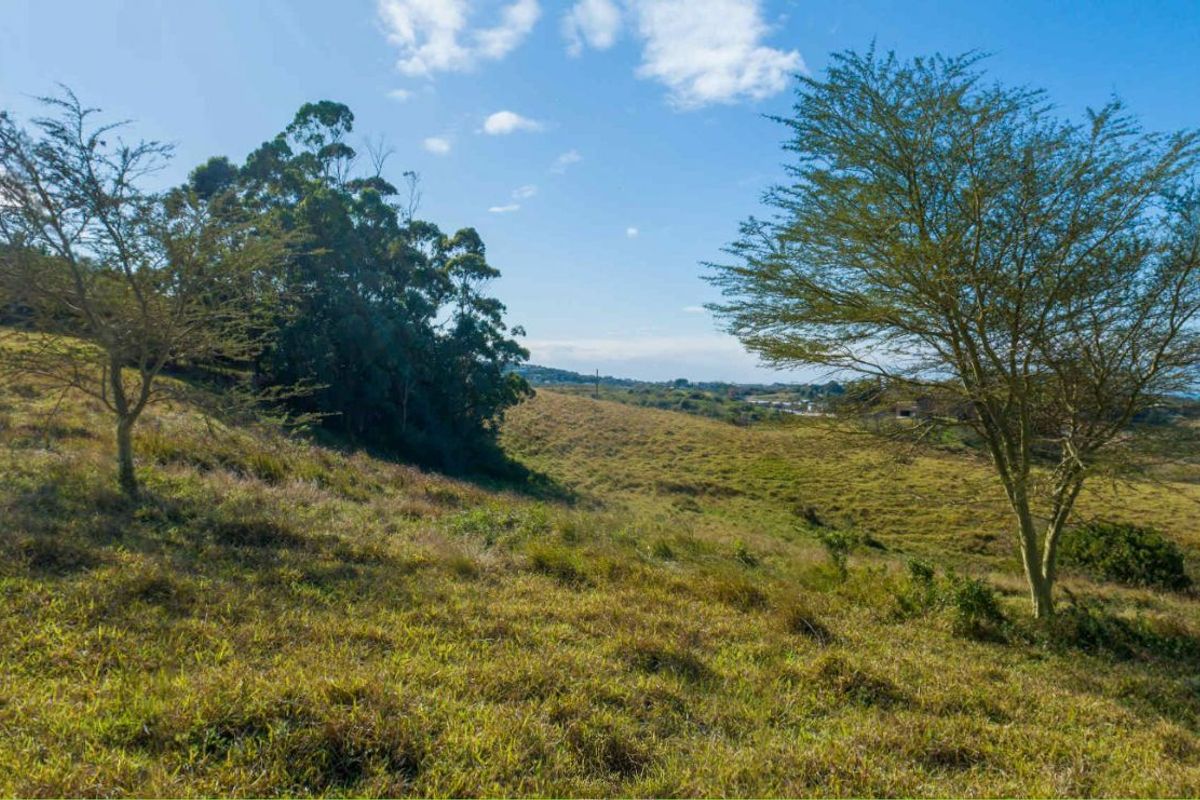 Vacant Land Residential For Sale in New Salt Rock City - Photo 5